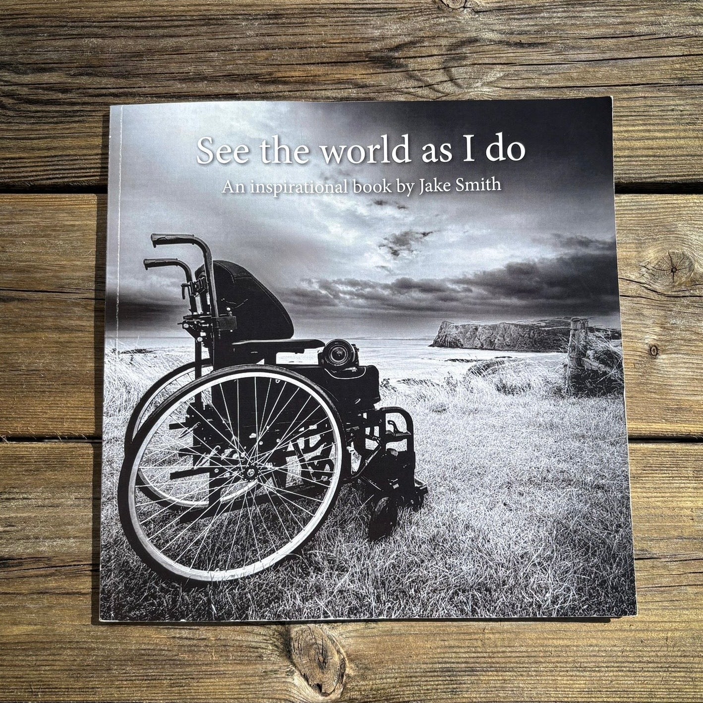 See the world as I do